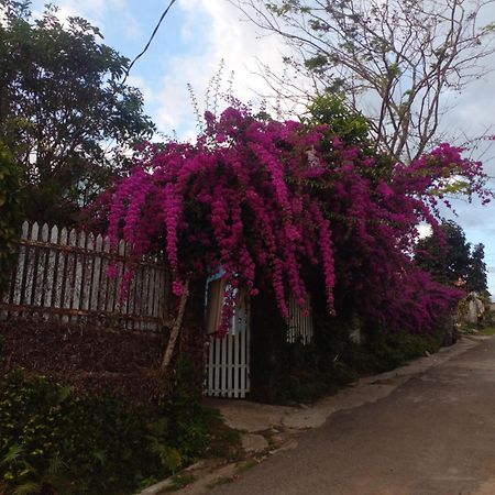 Ly'S Homestay Gia Nghia Exterior foto