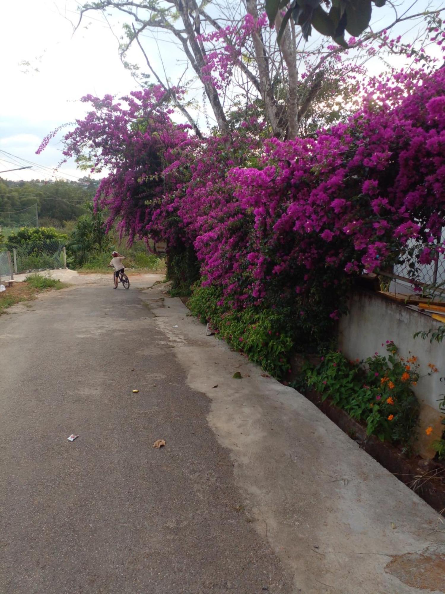 Ly'S Homestay Gia Nghia Exterior foto